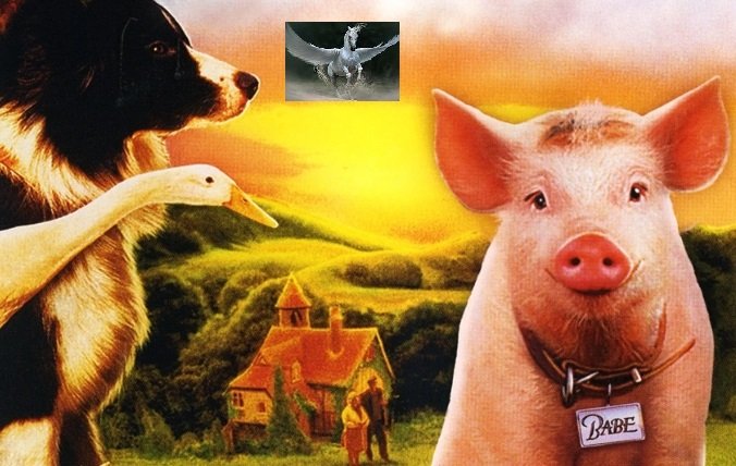 Al Vuelo-¡Animales!