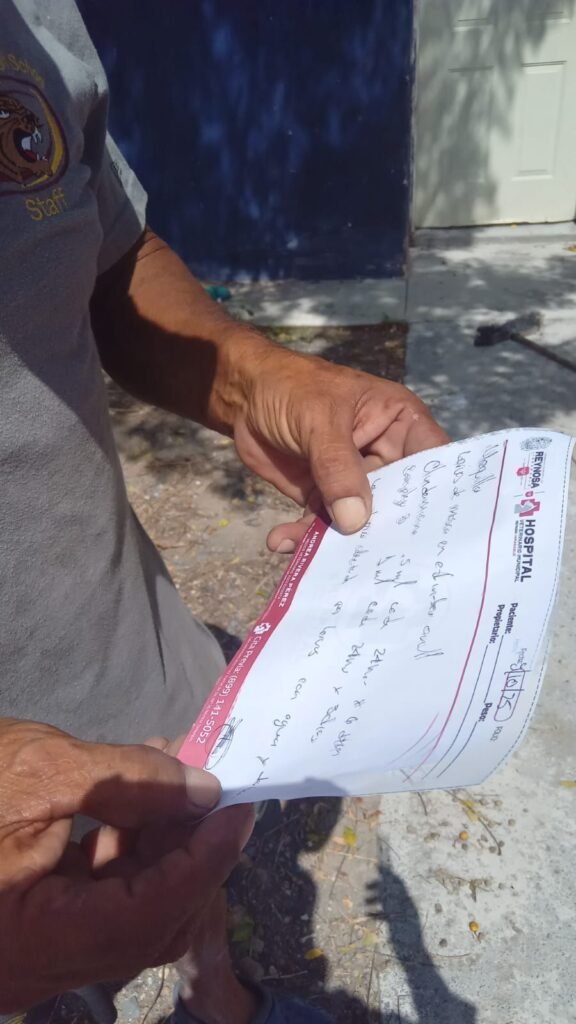 Atendió Hospital Veterinario Municipal de Reynosa a perrito