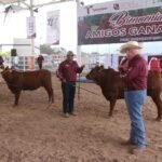 Feria Tamaulipas será sede del Segundo Concurso del Novillo Gordo