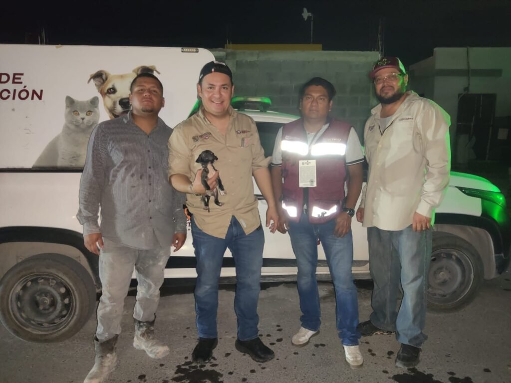 Héroes en la necesidad; plomeros de Reynosa rescataron a un perrito