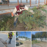 Trabaja Gobierno de Carlos Peña Ortiz en área suburbana