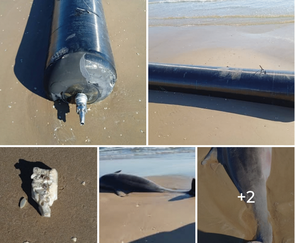 Llegan restos de cohetes a playas mexicanas