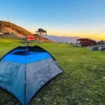 Es pino solo en Ciudad Victoria un tesoro natural de Tamaulipas