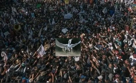 Al Vuelo-Celebración