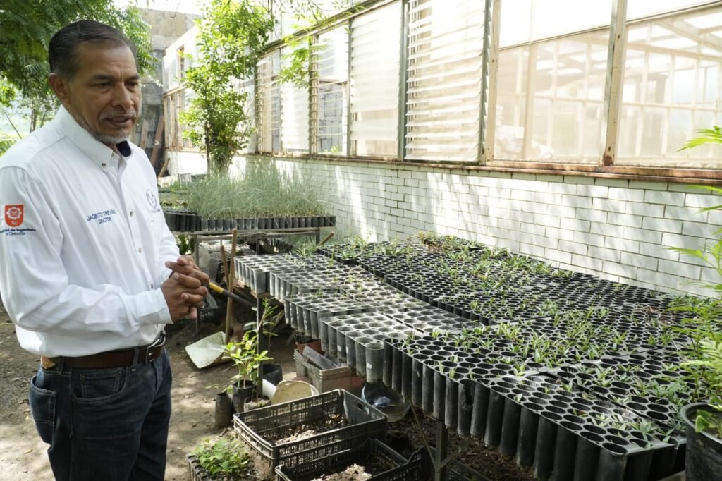 Implementa la UAT manejo sustentable del maguey mezcalero en Miquihuana