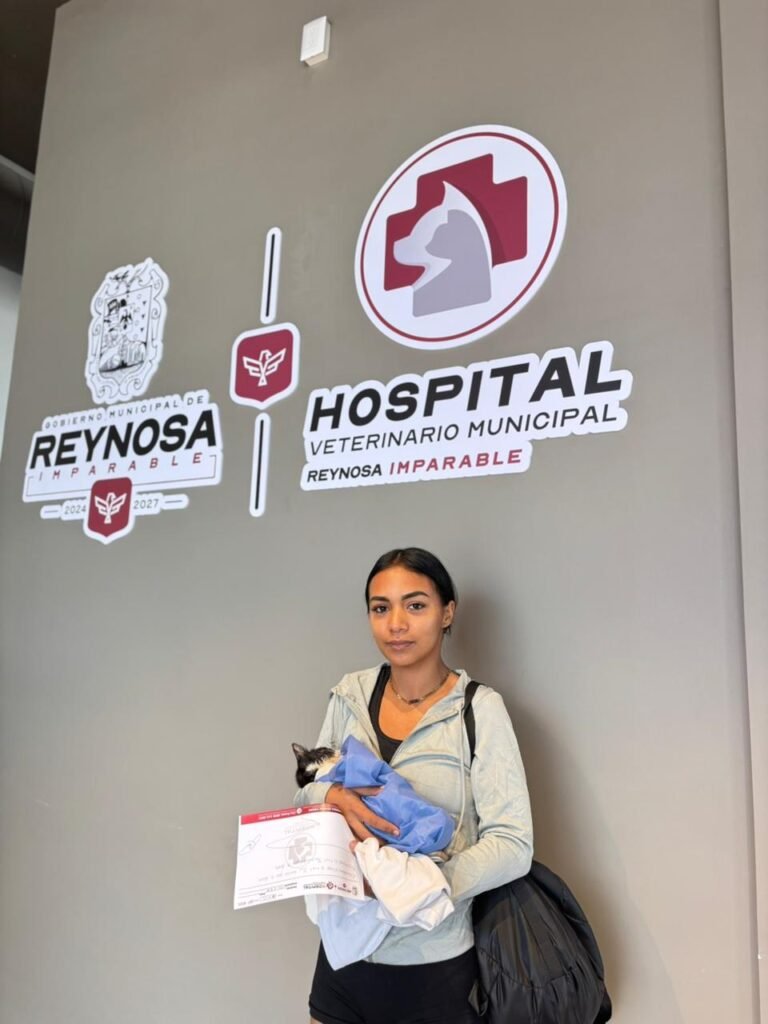 Atendió Hospital Veterinario Municipal de Reynosa a felino rescatado por un alma caritativa