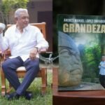 Al Vuelo-Condiciones