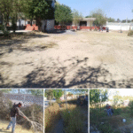 Cumple Gobierno de Reynosa mantenimiento y limpieza de la ciudad