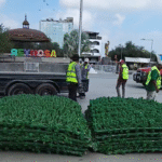 Preparan encendido del gigantesco pino navideño