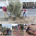 Mejora y embellece Gobierno de Carlos Peña Ortiz las instalaciones urbanas