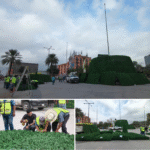 Inicia colocación del pino mega navideño