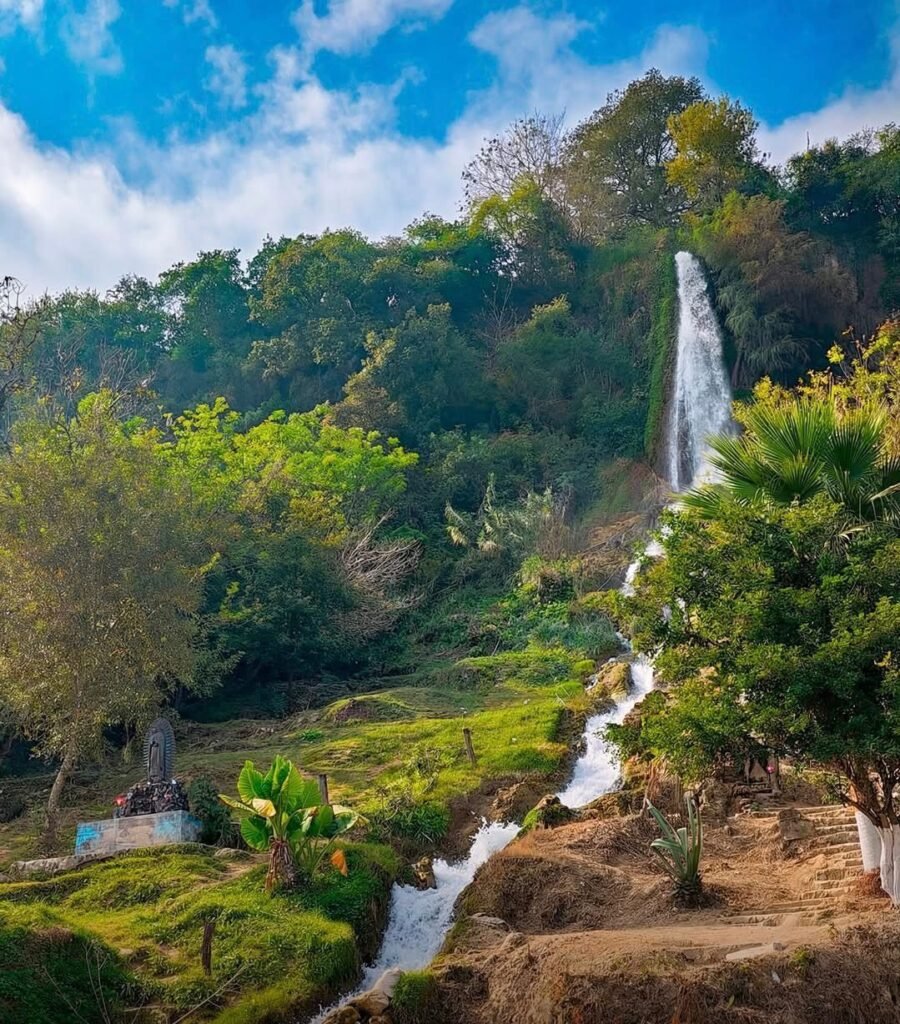 Crecerá afluencia y derrama con la Virgen de la Misericordia en Hidalgo
