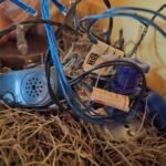 Emite SST recomendaciones preventivas para evitar accidentes