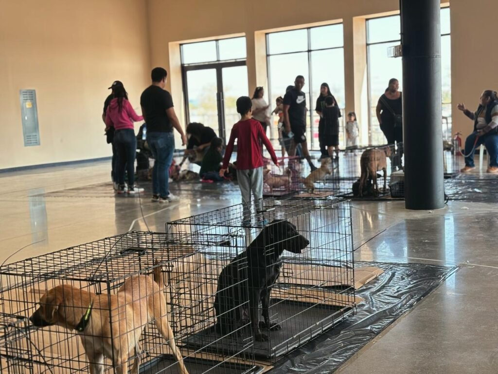 Invita Gobierno de Carlos Peña Ortiz a participar en Centro de Acopio para Mascotas