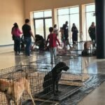 Invita Gobierno de Carlos Peña Ortiz a participar en Centro de Acopio para Mascotas