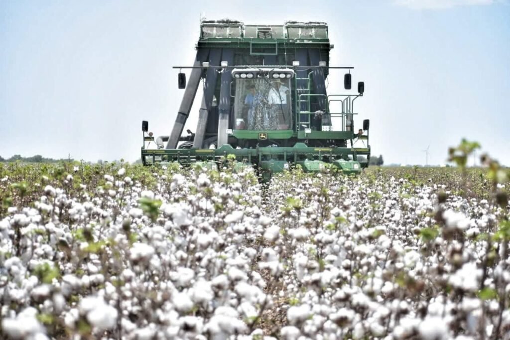 Participa Tamaulipas en reunión binacional para fortalecer la sanidad del algodón