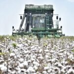 Participa Tamaulipas en reunión binacional para fortalecer la sanidad del algodón