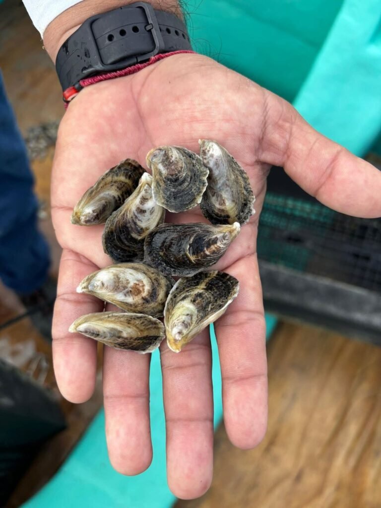 Mejora Gobierno de Tamaulipas acompañamiento técnico al sector acuícola en San Fernando