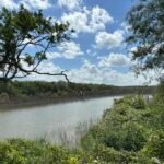 El estero del Río Bravo “El Triunfo” debe declararse Zona de Protección Ecológica