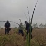 Buscan más fosas clandestinas