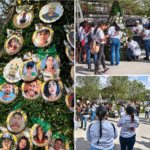 Marchan y colocan esferas al “Pino de la Esperanza”