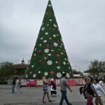 Paradisíaco invierno en la región