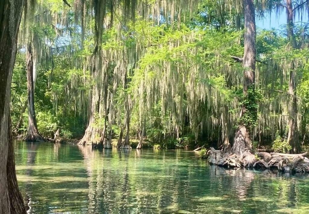 Tamaulipas va por el golazo turístico con Rutas del Aficionado al Fútbol: Sectur