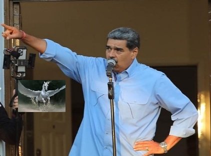 Al Vuelo-Maduro
