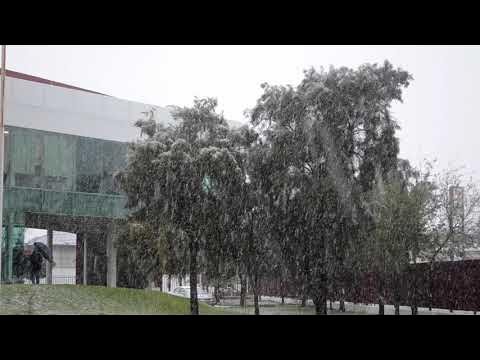 Pega duro el “Godzilla” de las tormentas invernales