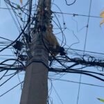 A ver si es cierto que tienen 9 vidas