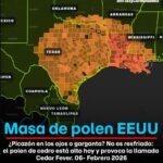 Polen del cedro estaría provocando alergias a la población