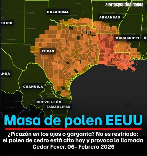 Polen del cedro estaría provocando alergias a la población