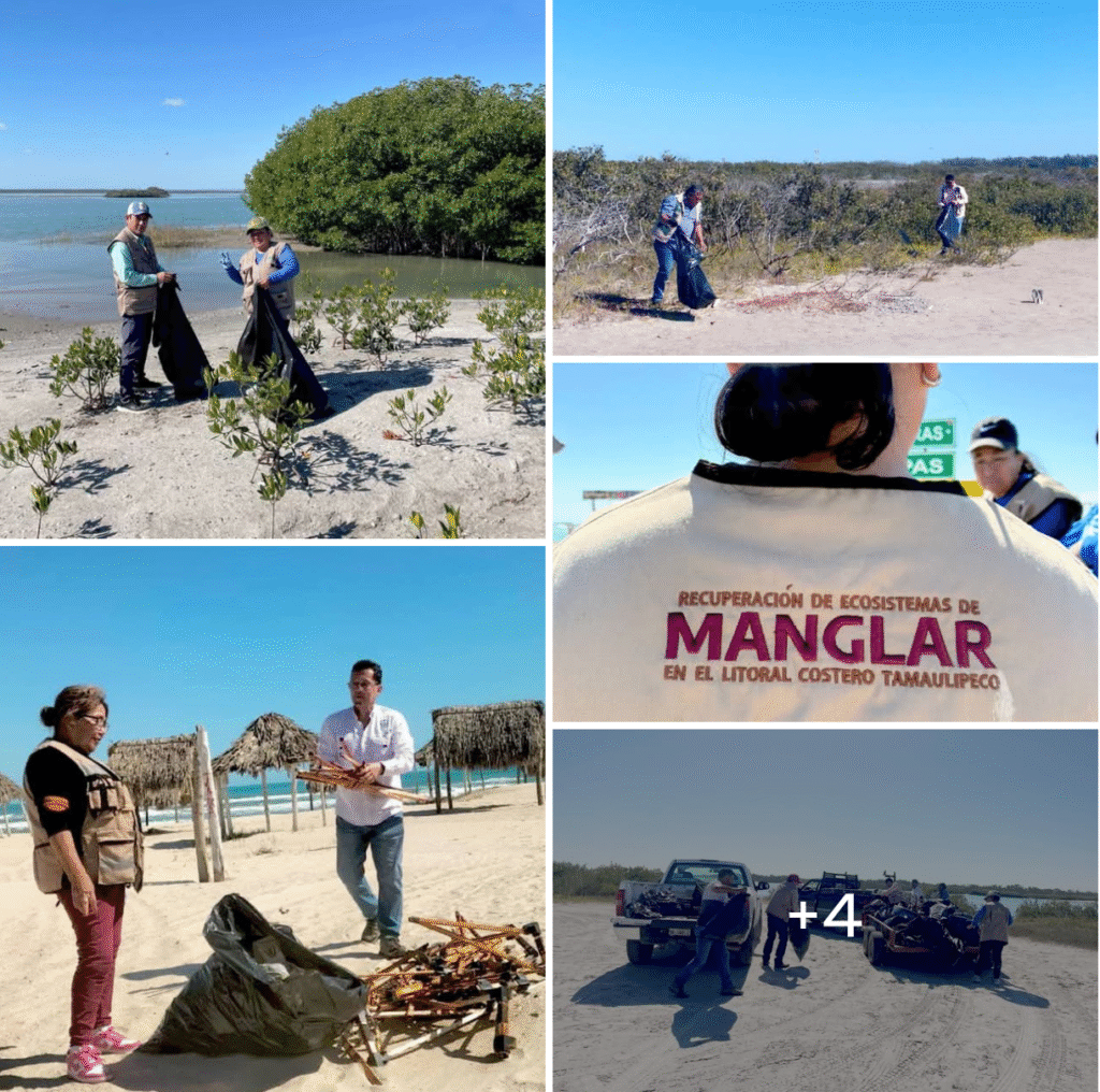 Refuerzan conciencia ambiental con limpieza de playas y humedales de Tamaulipas