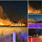 En el bulevar Hidalgo, elementos del Heroico Cuerpo de Bomberos atendieron oportunamente un incendio de pastizal, logrando controlar y sofocar el fuego, evitando su propagación a zonas aledañas.