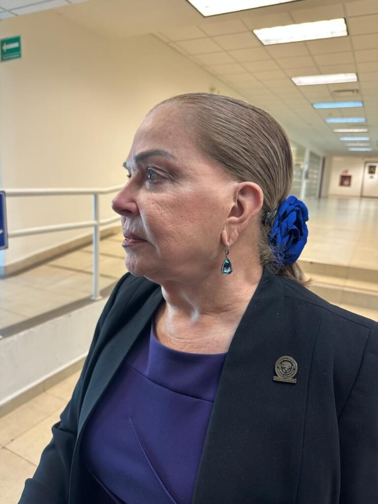 Diputada advierte riesgo al federalismo por propuesta de reforma electoral.