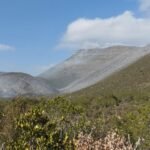 Inician labores de combate en incendio forestal en el ejido Joya de Herrera, Bustamante