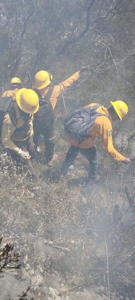 Continúan labores para el control y liquidación de incendio forestal en el Cerro El Tepozán