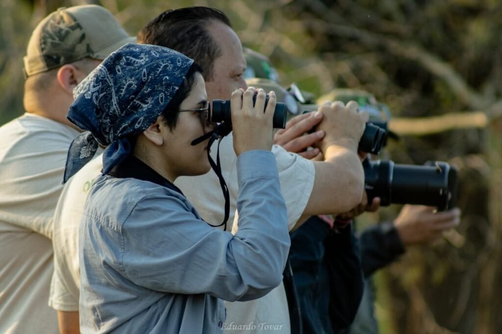 Invitan a jornada de pajareada y exposición fotográfica en el Museo TAMUX