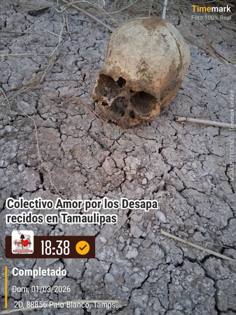 Hallan más restos humanos en Reynosa