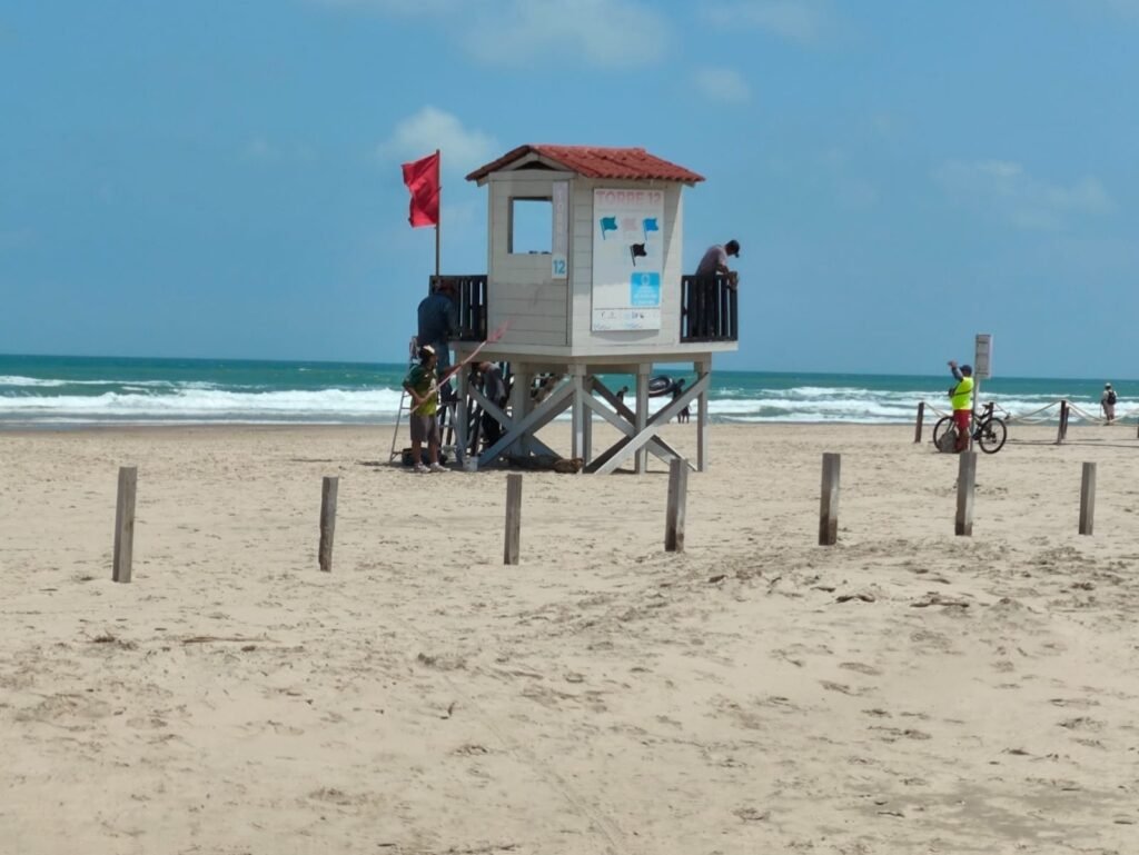 Fortalece Tamaulipas vigilancia ambiental ante presencia de hidrocarburos en costas de la zona sur