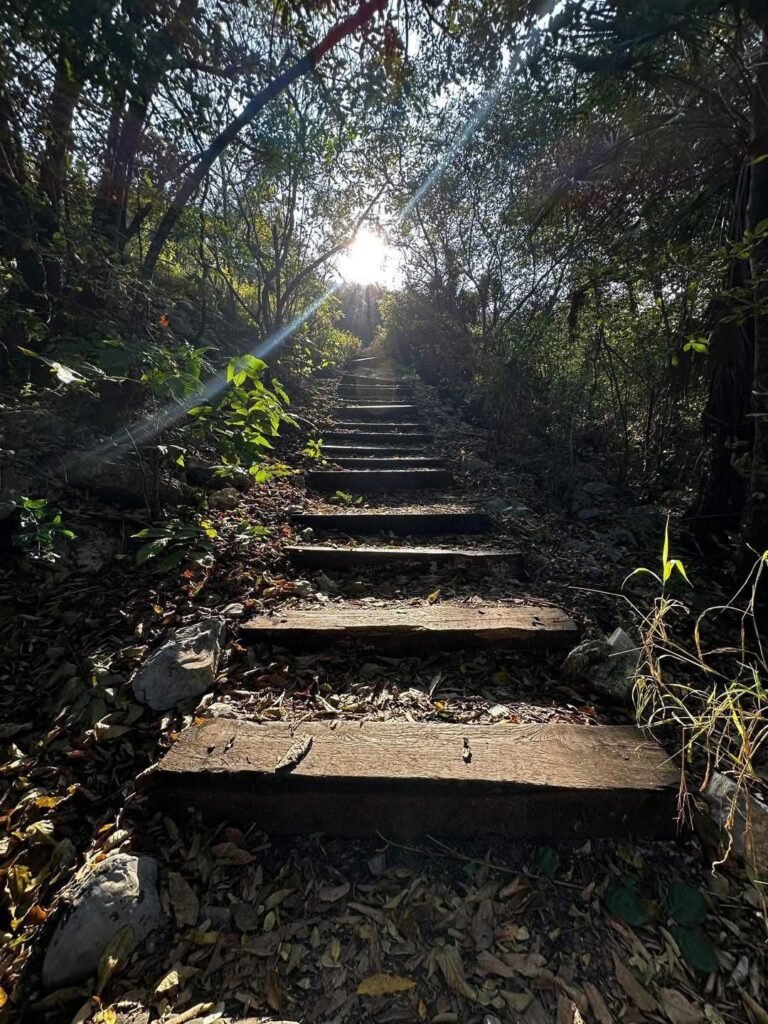 Anuncia Sectur agencias participantes en las Rutas del Fútbol en Tamaulipas