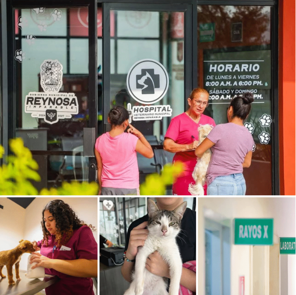 Ofrece Carlos Peña Ortiz atención del Hospital Veterinario Municipal