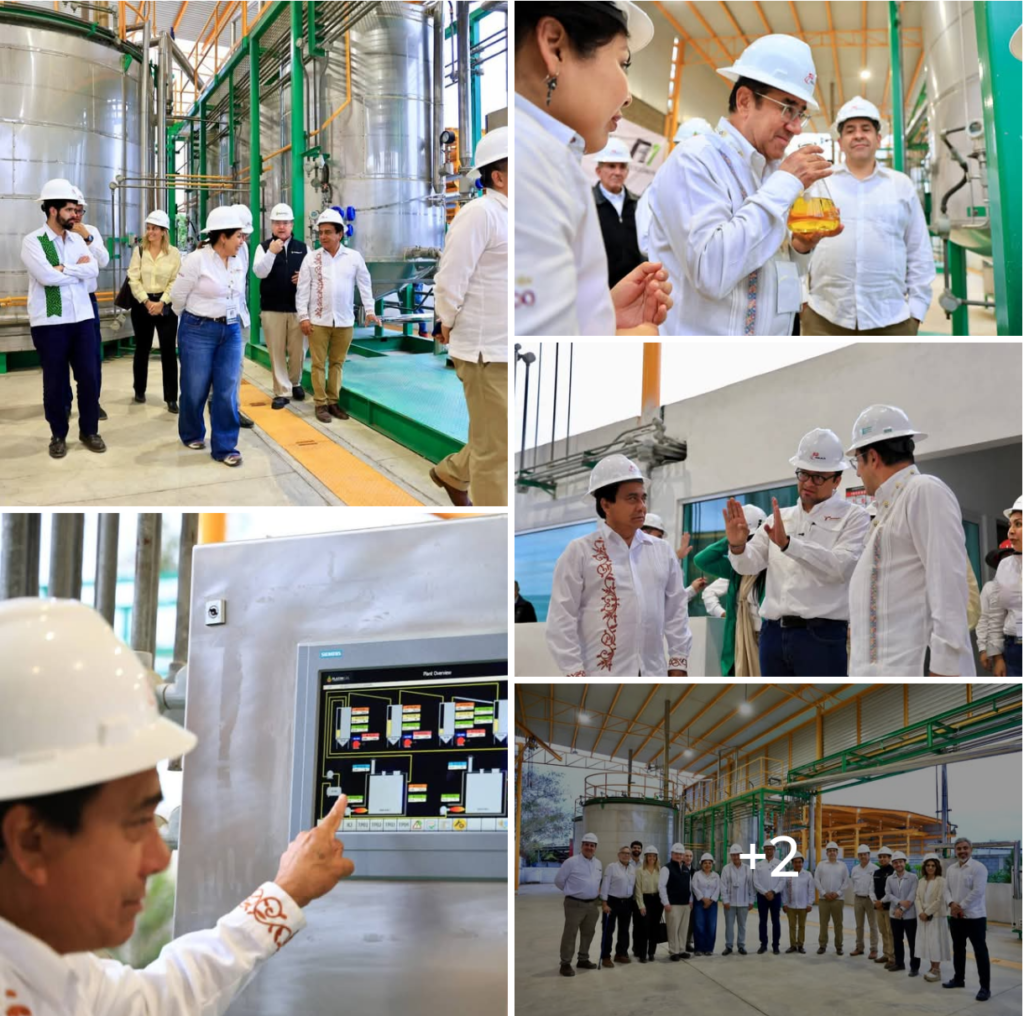 Autoridades federales de energía realizan recorrido en la planta de pirólisis de plásticos en Altamira