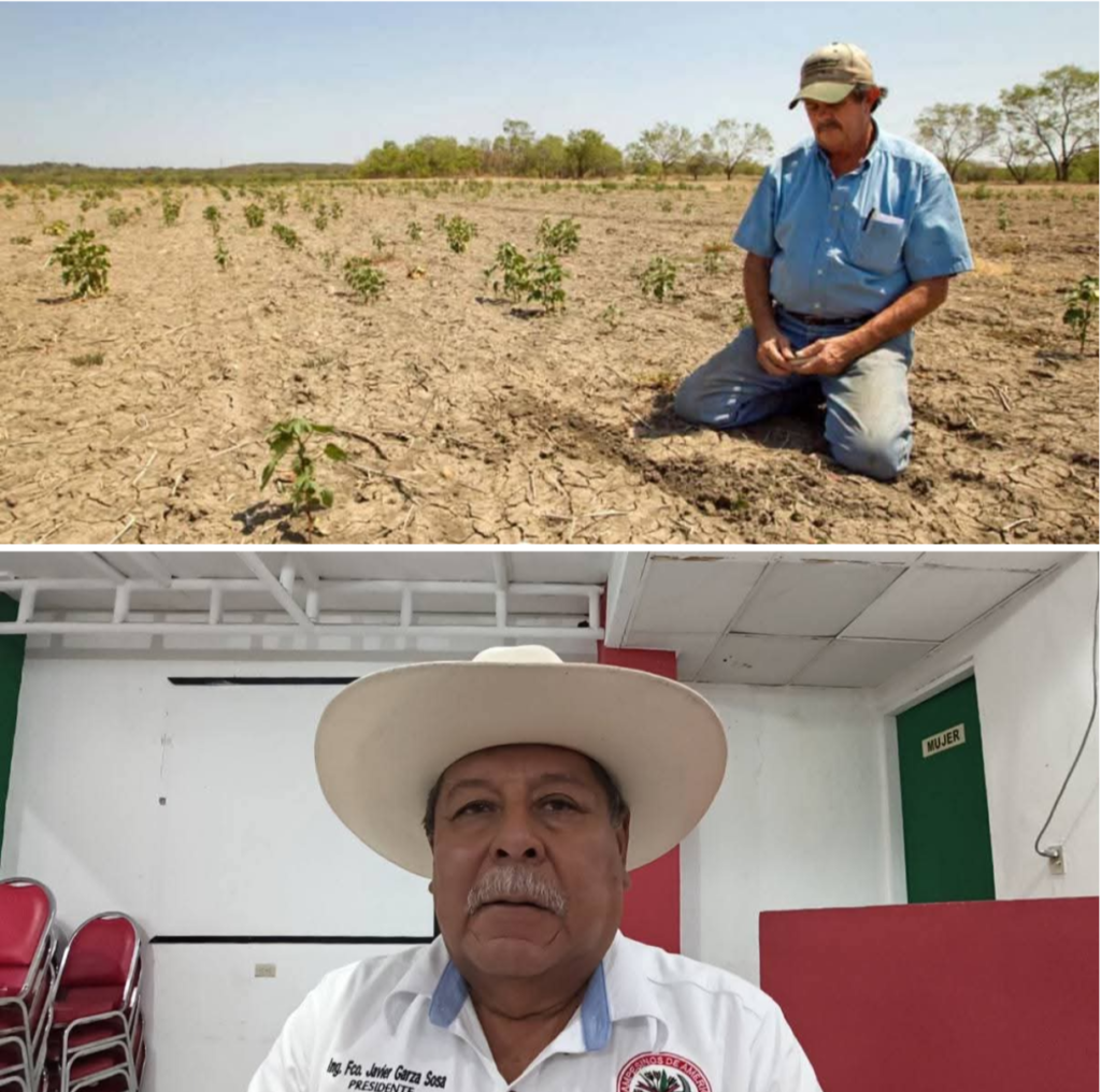 Agoniza el campo tamaulipeco