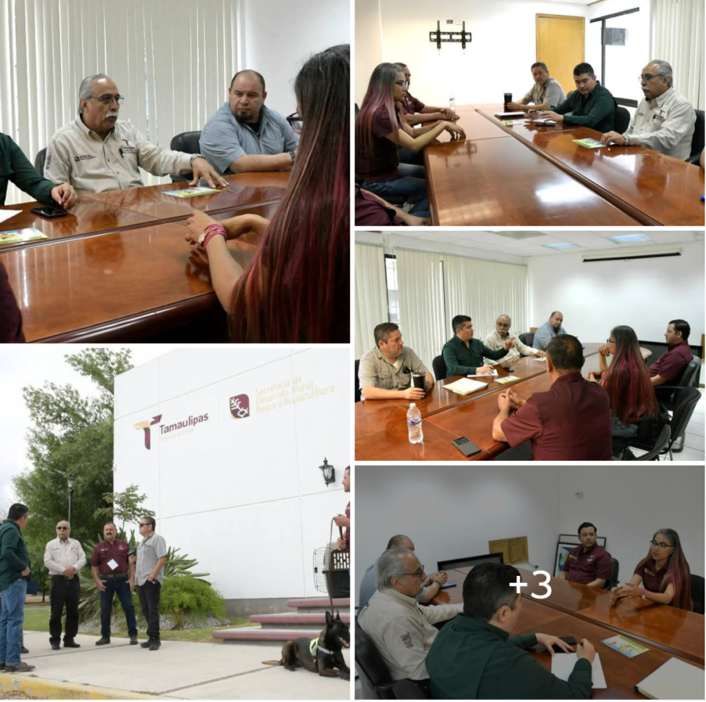 Refuerza Tamaulipas la sanidad pecuaria con binomios caninos especializados