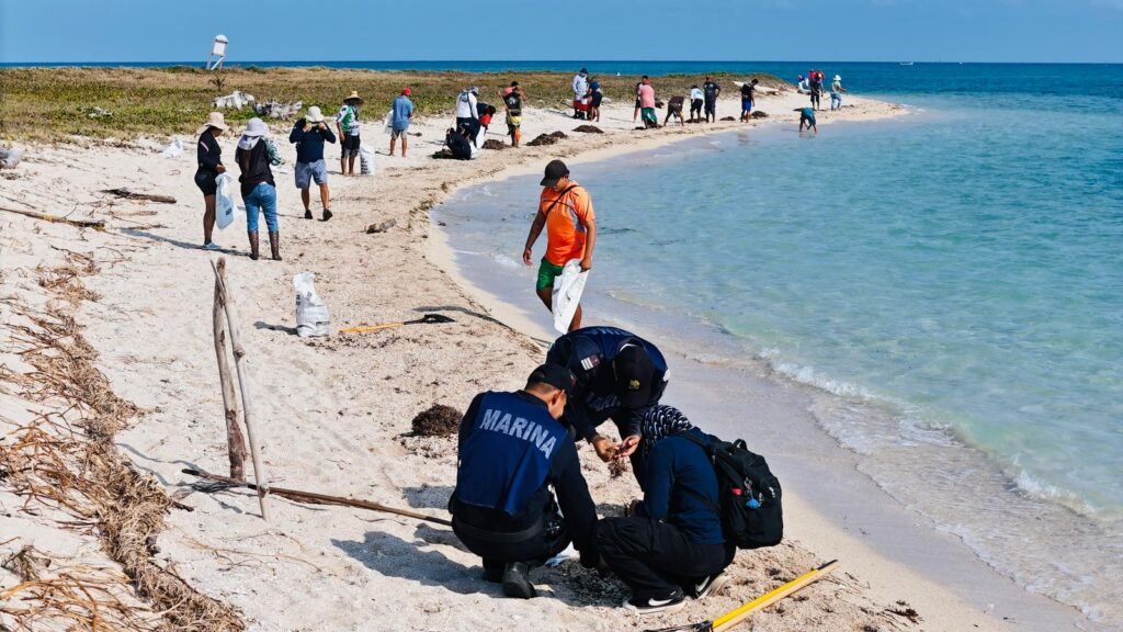 Grupo Interinstitucional actualiza avances y refuerza acciones integrales ante presencia de hidrocarburos en costas del Golfo de México