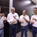 Productores tamaulipecos logran vender al 100% primera cosecha de ostión
