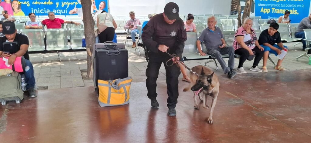 Fortalece Guardia Estatal vigilancia en central de autobuses