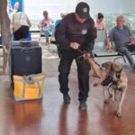 Fortalece Guardia Estatal vigilancia en central de autobuses