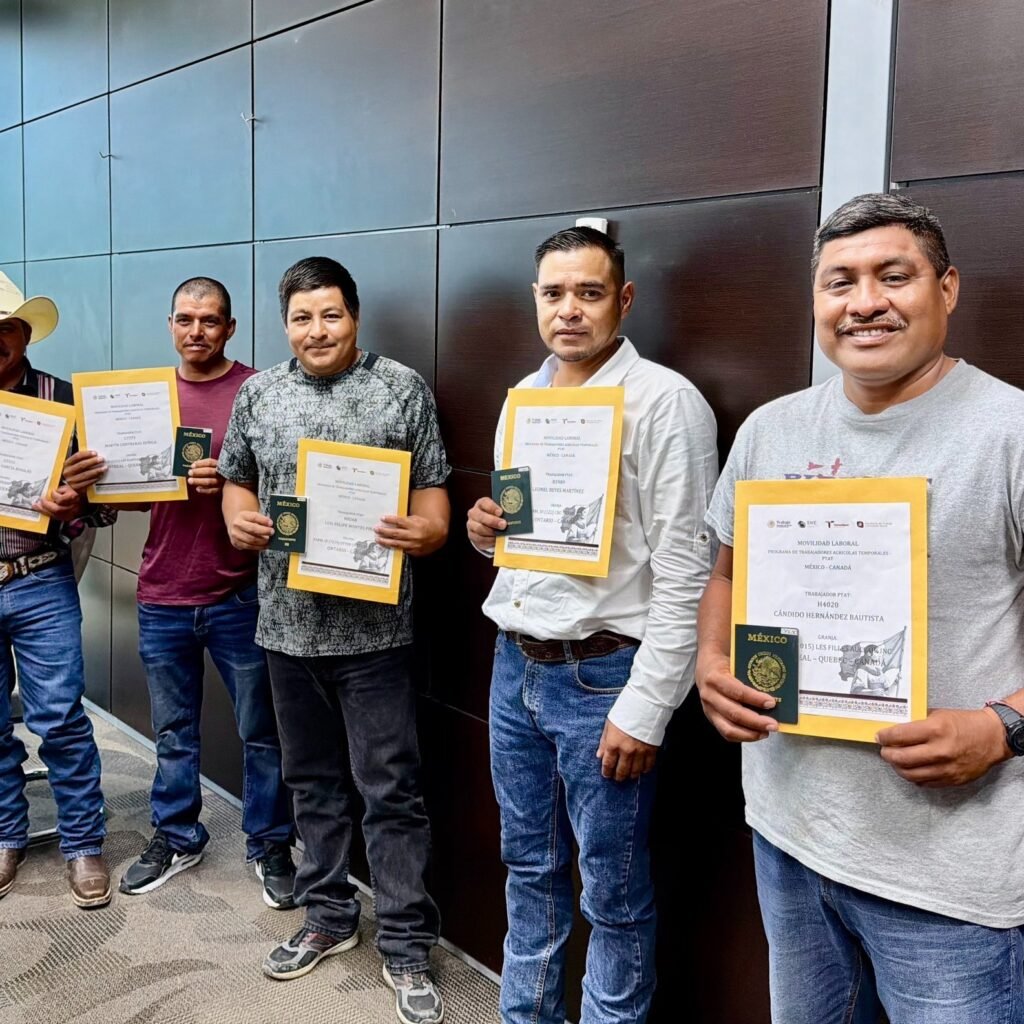 Entrega STPS Tamaulipas sobres de viaje a trabajadores que participarán en programa agrícola en Canadá